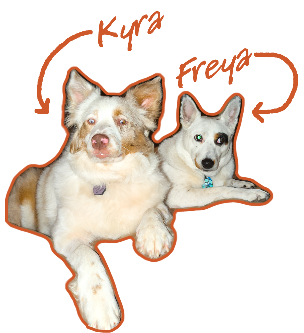 Freya and Kyra - Our adventure pups
